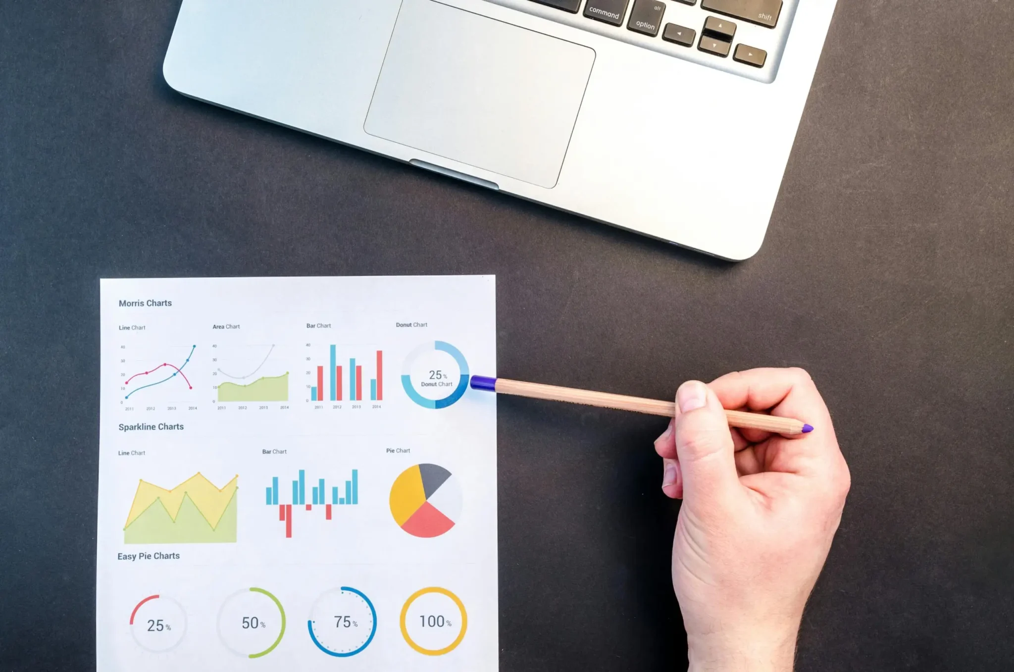 Seo and Digital Marketer in Pathnamathitta